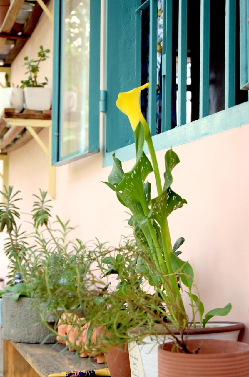 Py'S House Bed and Breakfast Nha Trang Exteriör bild