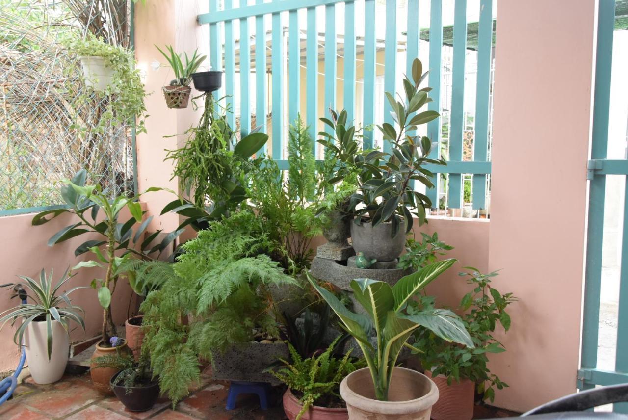 Py'S House Bed and Breakfast Nha Trang Exteriör bild